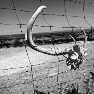 自顧不暇資訊網(wǎng)