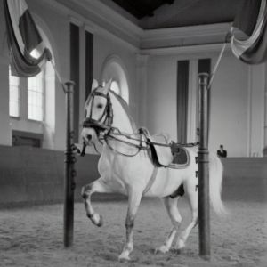 我市將打造“郊野公園圈”