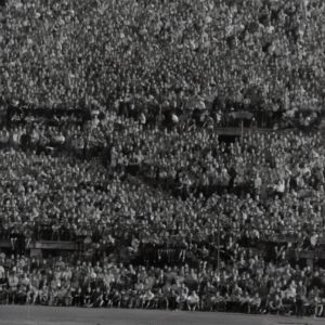 我市將打造“郊野公園圈”