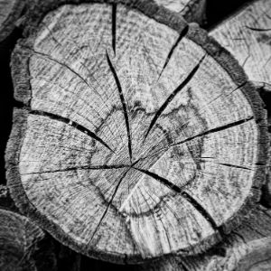 自顧不暇資訊網(wǎng)