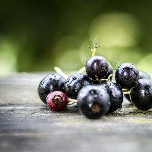 自顧不暇資訊網(wǎng)